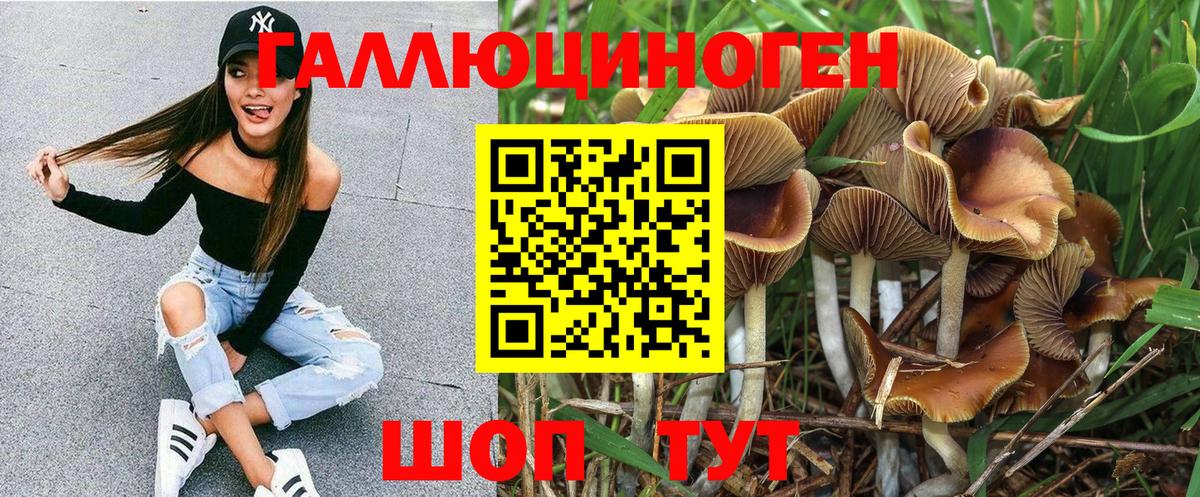 Канаш  Галлюциногенные грибы GOLDEN TEACHER  Вход с VPN  Псилоцибиновые грибы Magic Shrooms 